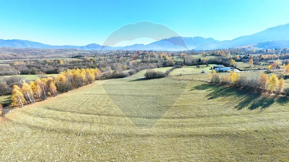 Land 17,100sqm Zarnesti / Strada Tohanita