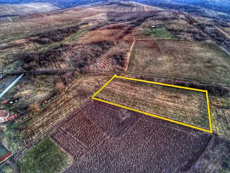 Land 2,199sqm Covasint / Strada Liliacului