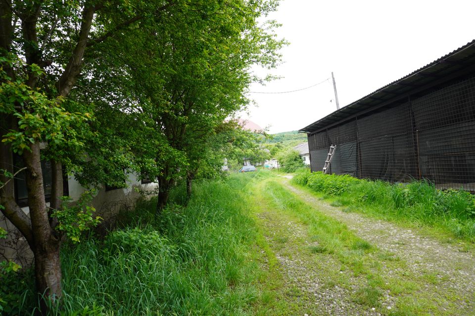 Land 10,941sqm Sighetu Marmatiei / Strada Faget