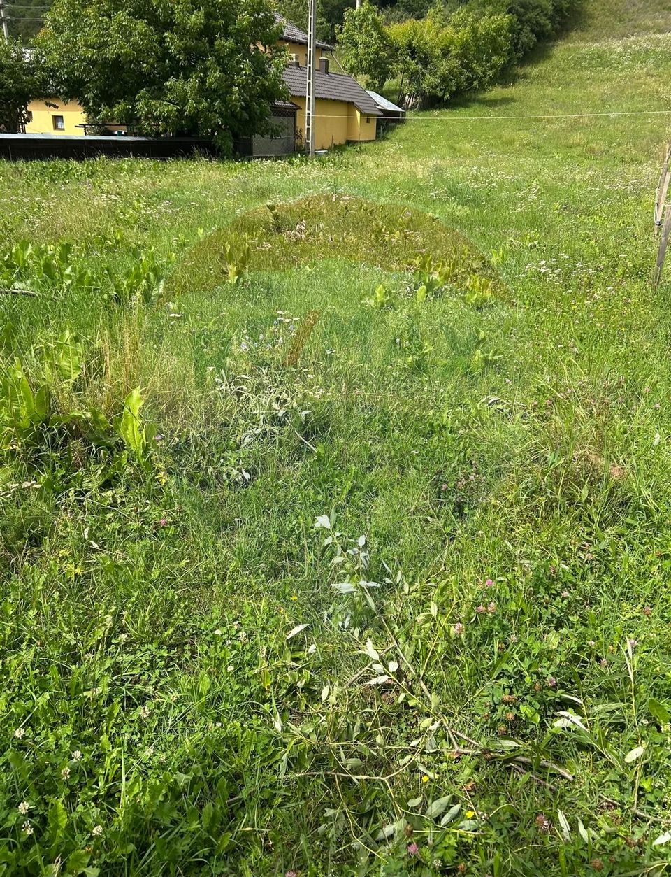 Teren 3,311mp Molid -Vama, Strada Stefan cel Mare, Suceava