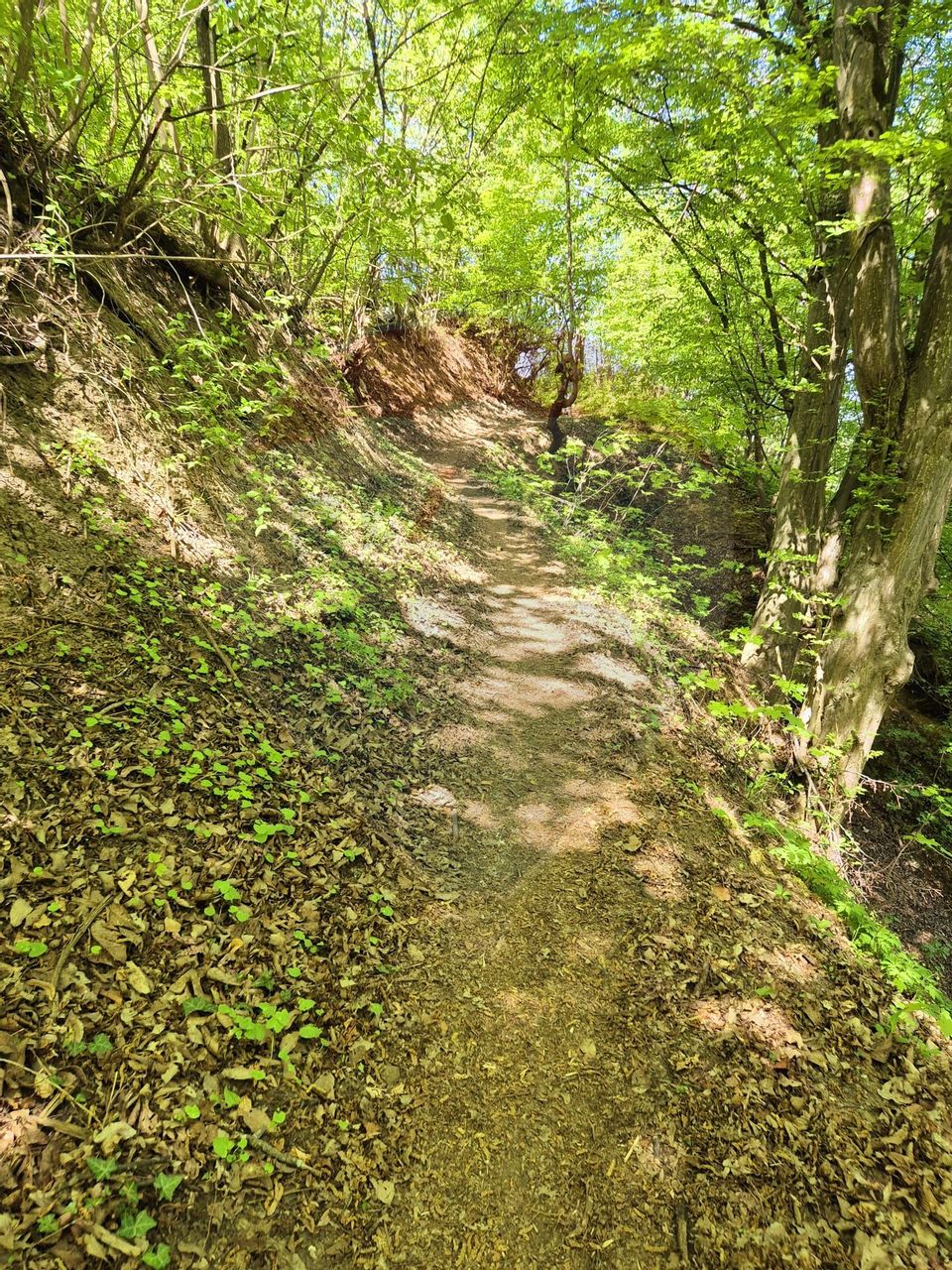 Teren intravilan 1,577mp Brasov / Schei/  constructii fara fundatie!