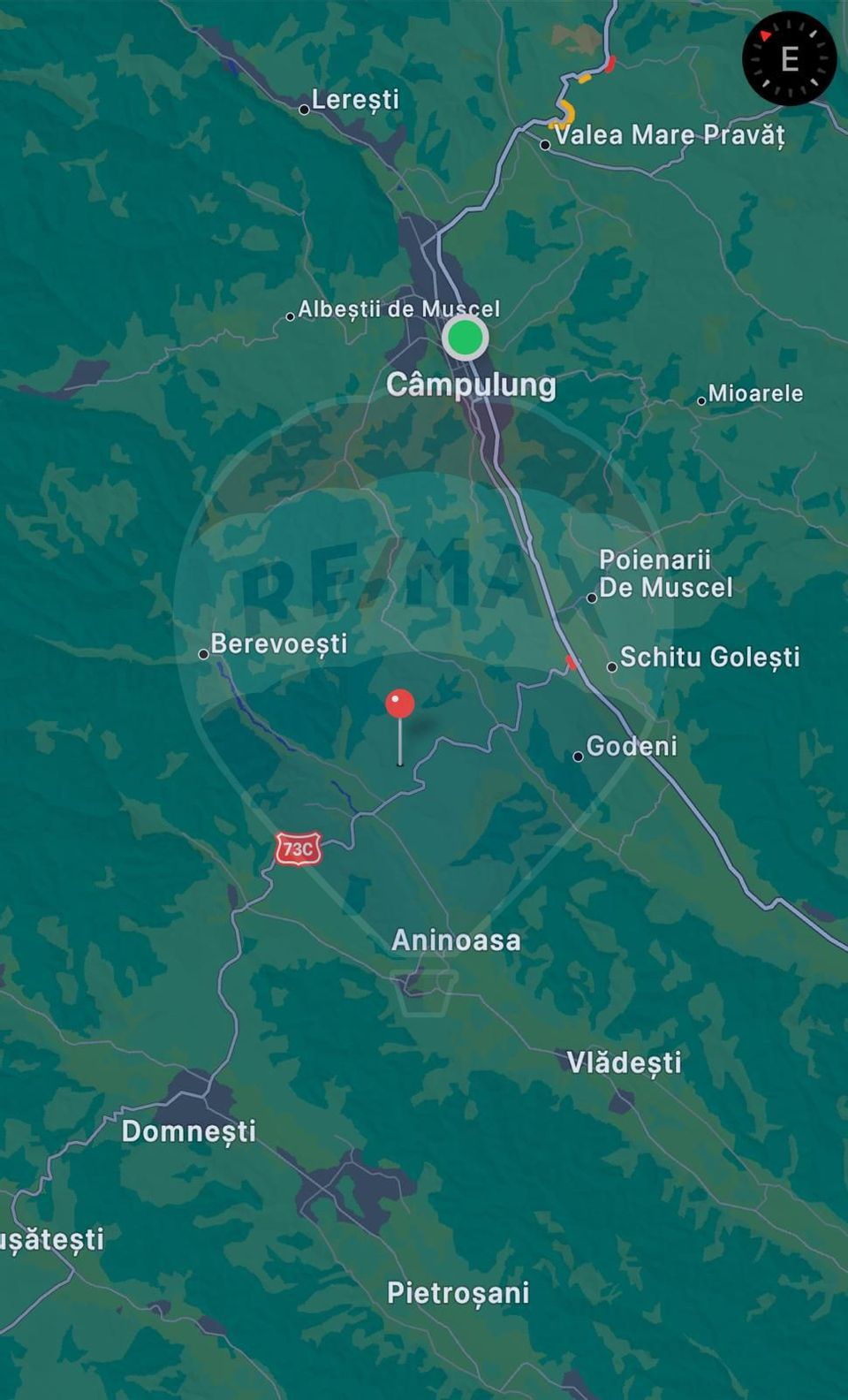 Teren extravilan ieftin 13,500 mp Berevoesti, Arges