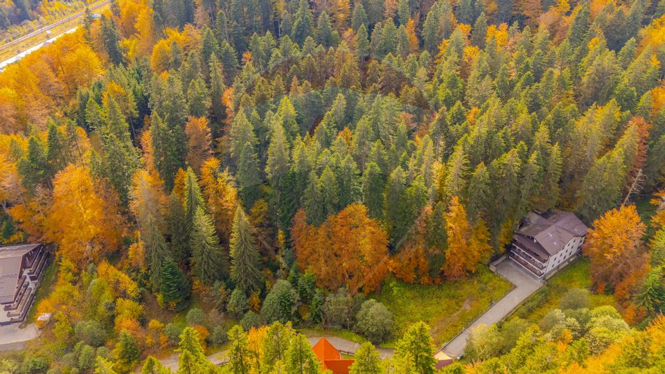 Comision 0 | Teren intravilan de vânzare – Predeal, Brașov 908 mp