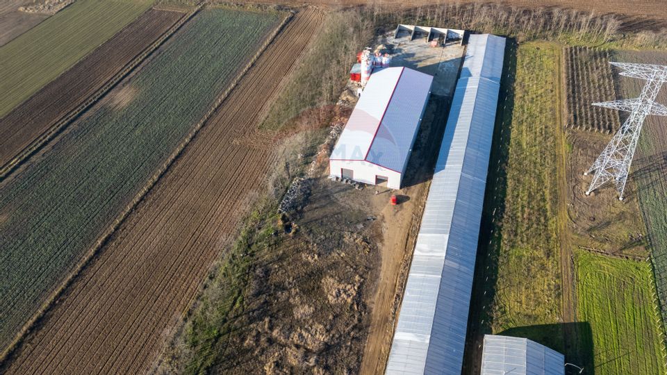 De Vanzare Afacere la cheie/Spatiu depozitare-Productie Tecuci-Matca