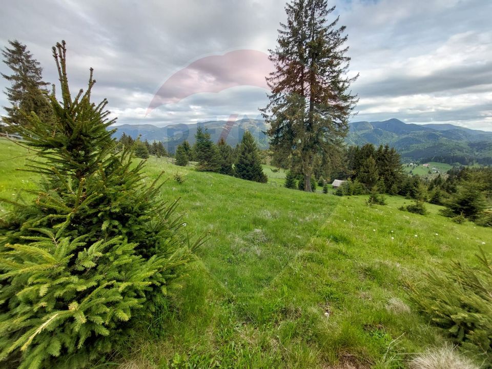 O fereastră către cer – teren de vis în Fundata, la poalele Bucegilor