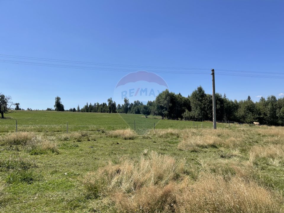 Land 98,610sqm Dealu Negru / Strada Primcipala