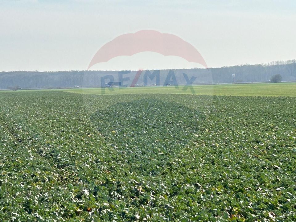 De Vanzare Teren 12,900mp Moara Vlasiei / Drumul Teilor