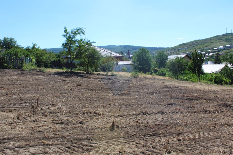 Land 3,600sqm Tomesti / Strada Soseaua Veche