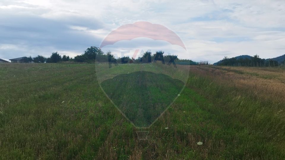 TEREN INTRAVILAN 2900 mp ȘIMLEU SILVANIEI/ Str. Corneliu Coposu/Sălaj