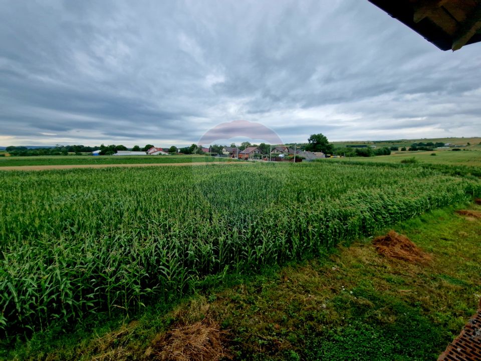 Casă Nouă cu Teren Generos – Borlești, Neamț