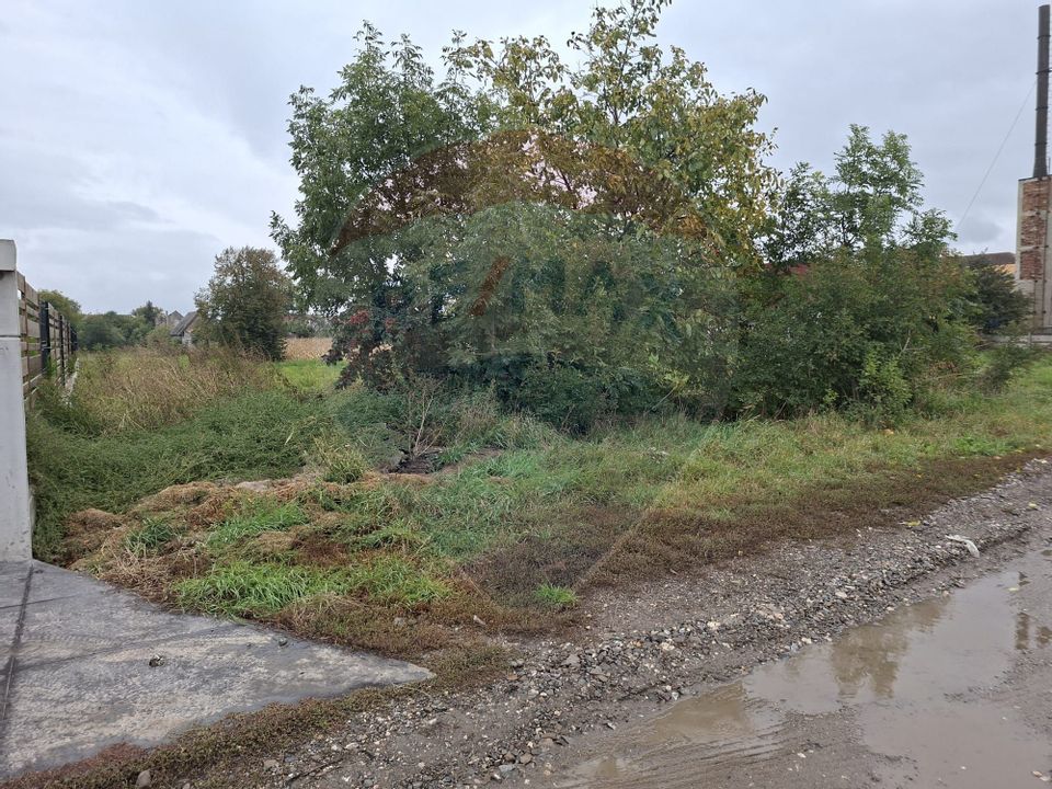 Land 504sqm Prejmer / Strada Gara Mica