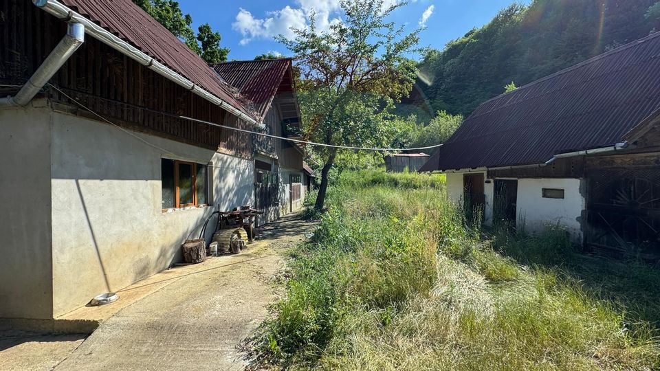 Proprietate de Vânzare în Berchezoaia Maramureș–Oază de Liniște-Naturǎ