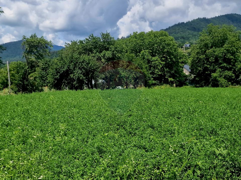 Teren intravilan 1000 mp – Viișoara, utilități