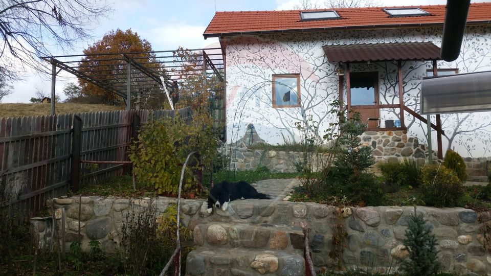 Casa + Teren cu Livada Curtea de Argeș