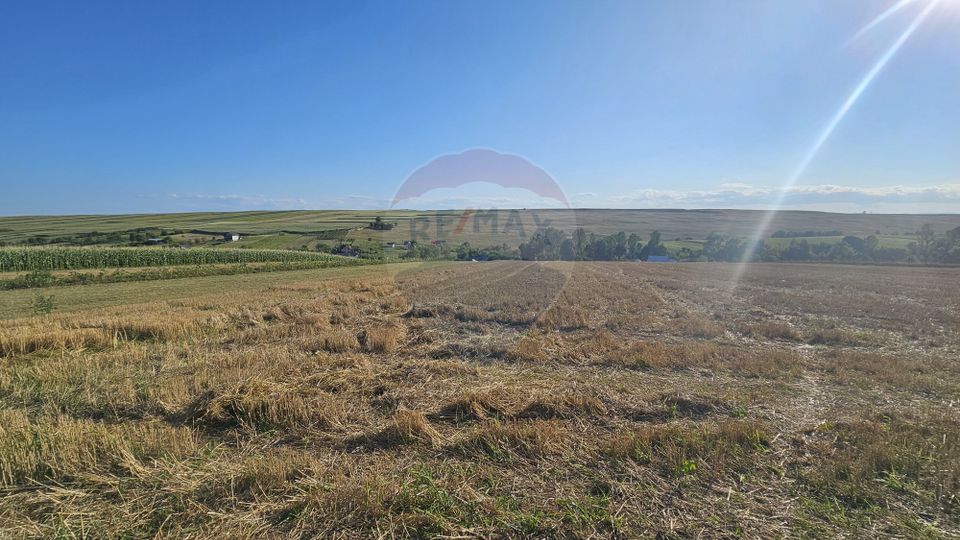 Teren intravilan, 7500 mp in Moara Carp / Strada Eternitatii-Suceava