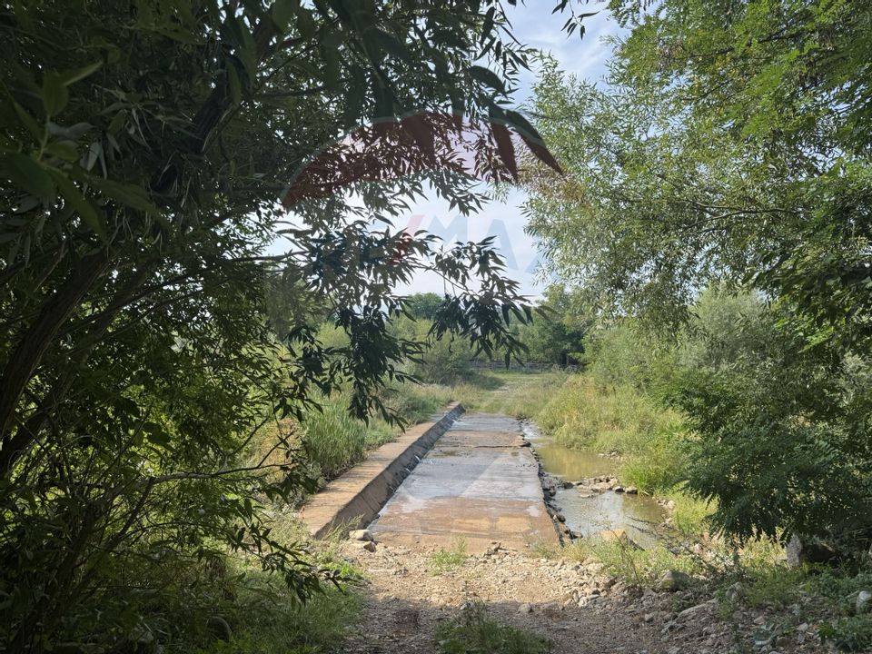 Teren 10.000 mp Calatele – Apuseni, langa rau, ideal investie turism