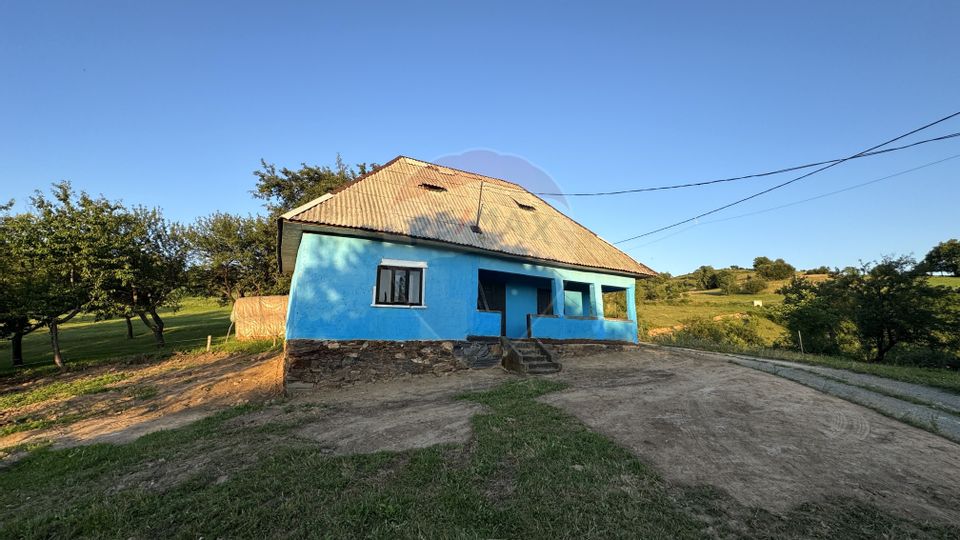 DE VANZARE CASA CU SUFELT SI ISTORIE