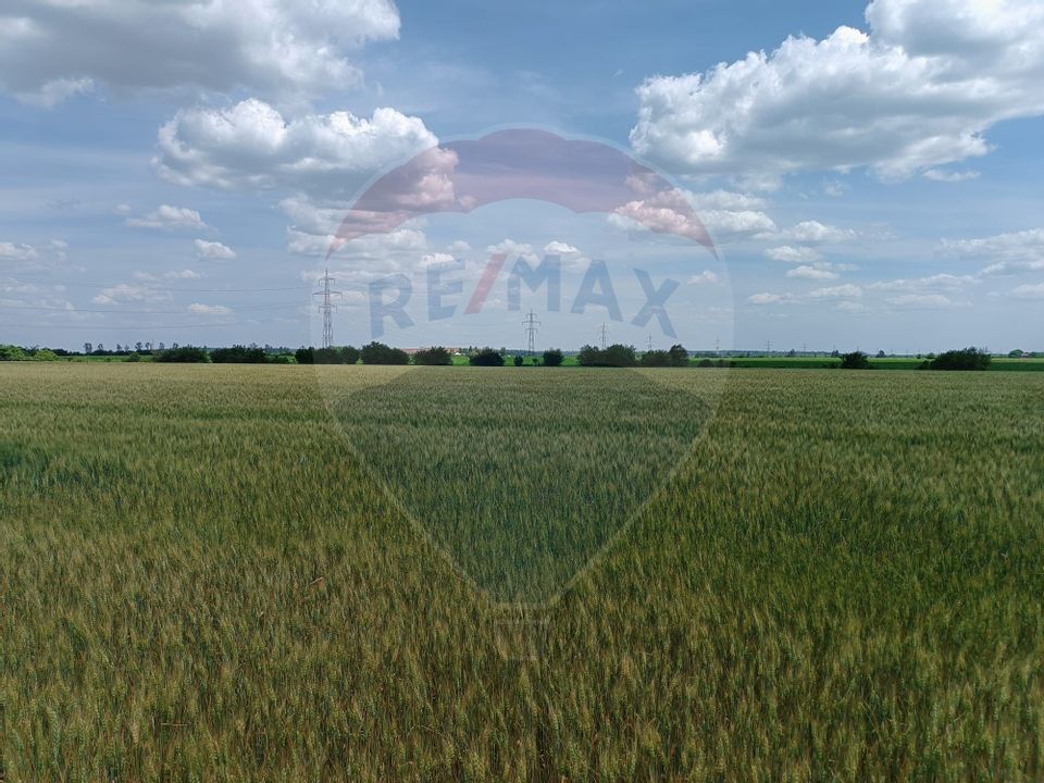 Land 15,800sqm Niculesti / None