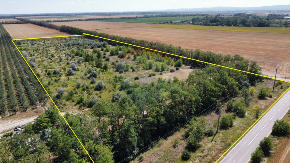 Land 45,000sqm Focsani / Drumul Suraii