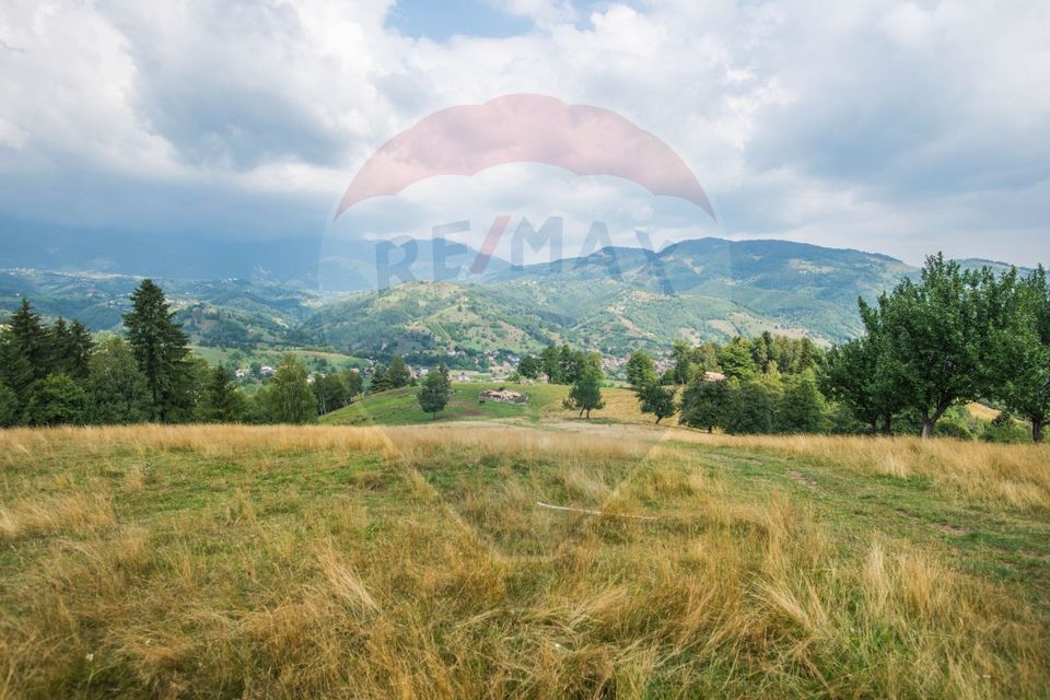 Teren extravilan Moieciu 45316mp