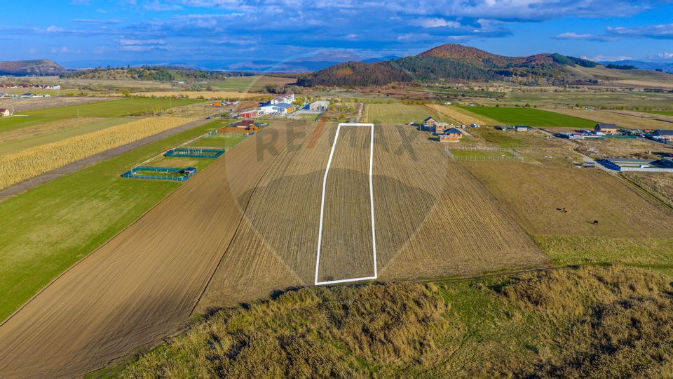 COMISION 0% Teren Sânpetru 8900 mp/ Intravilan/ 8 loturi