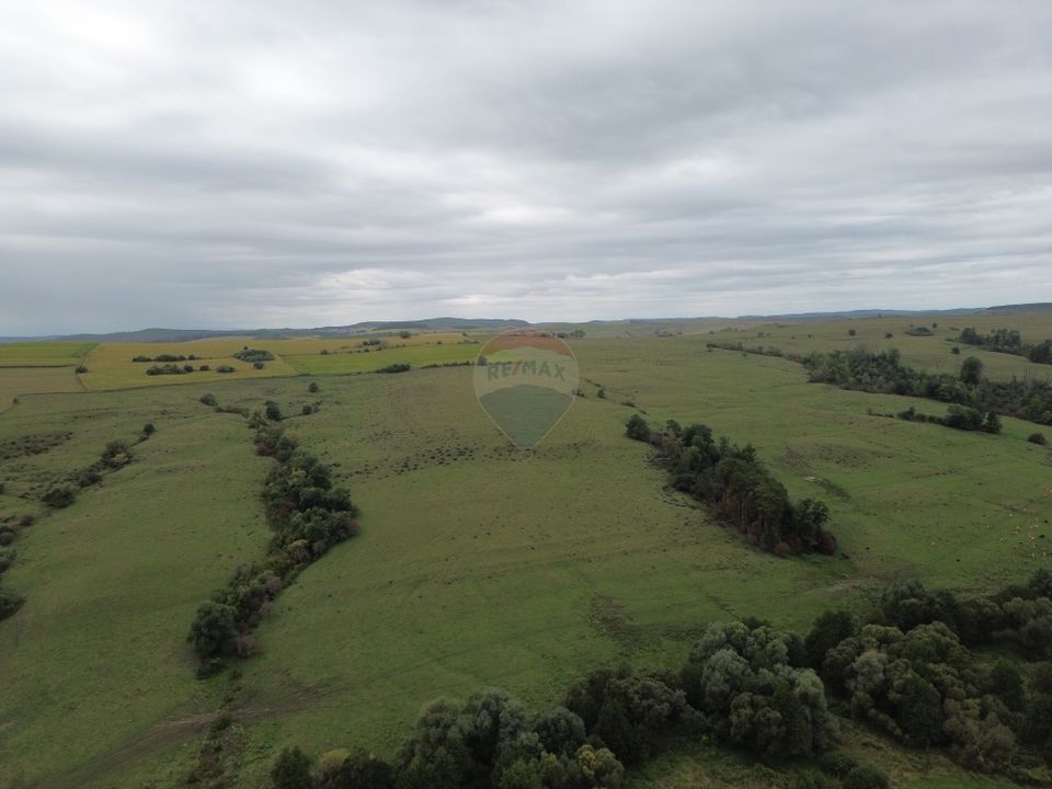 Land 65ha Agnita / Central