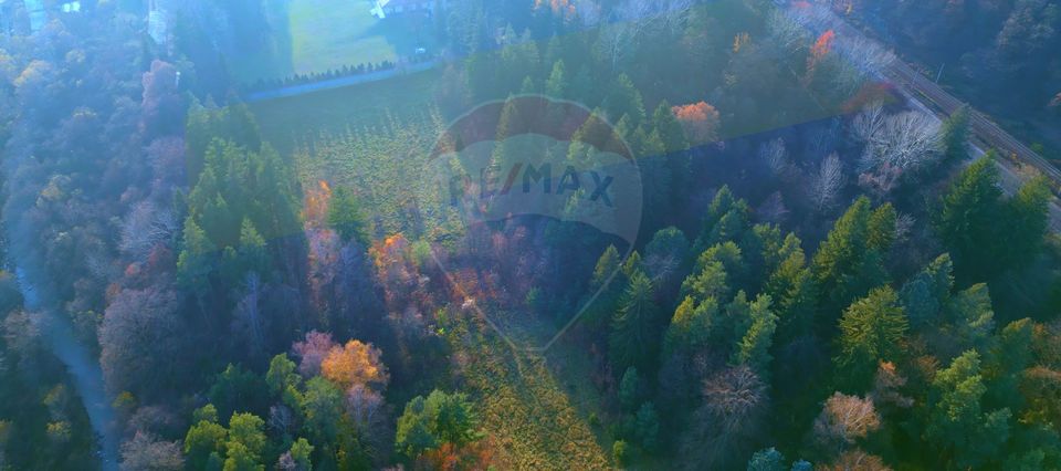 Land 10,000sqm Timisu de Jos / Strada Timișul de Jos