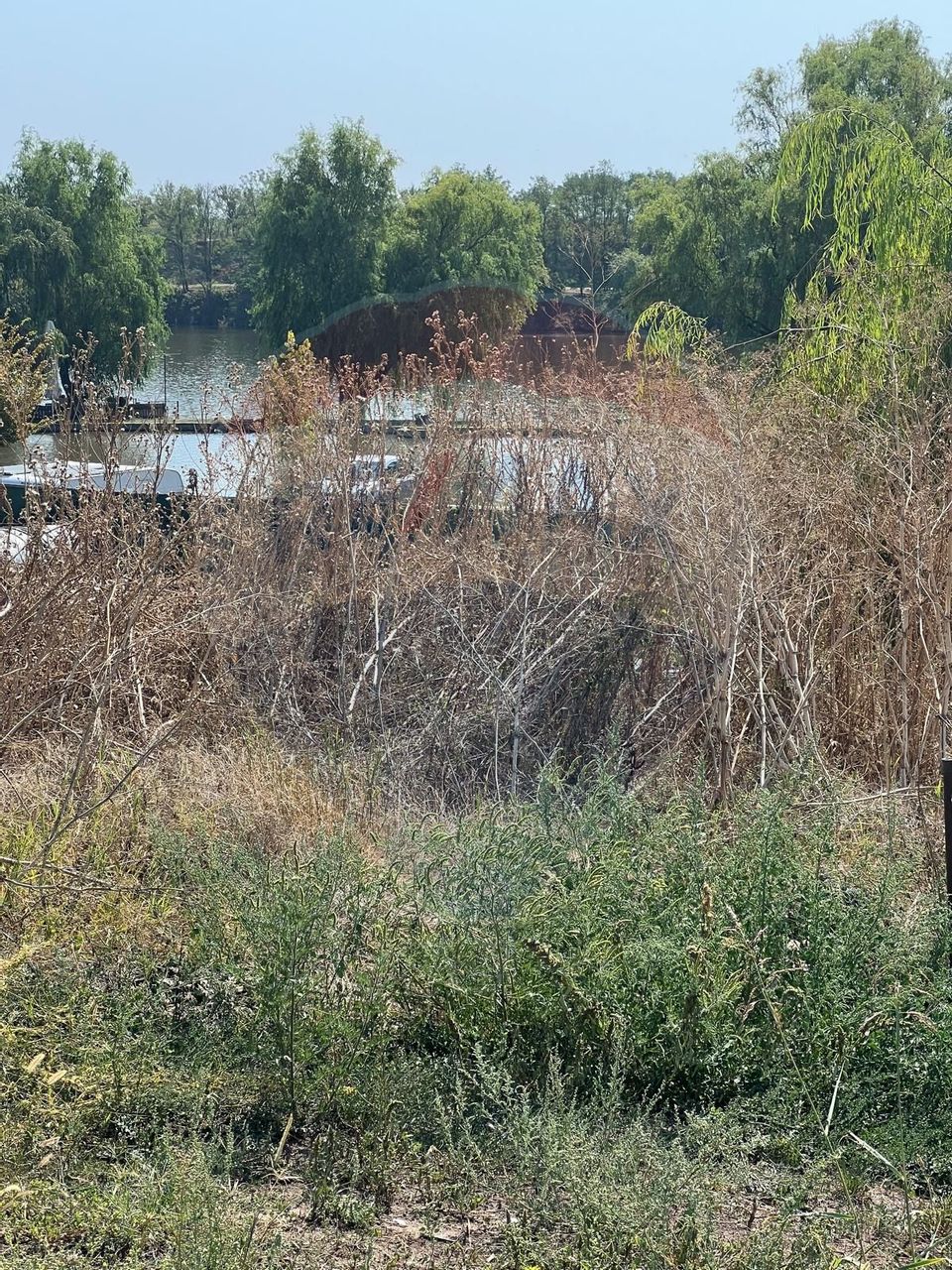 Teren de vanzare / 2,500 mp pe Malul Lacului Tancabesti /Ilfov