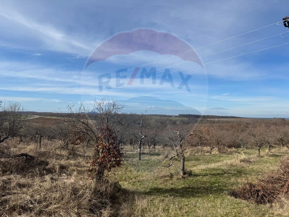 Land 70,808sqm Cuied / Drumul pp