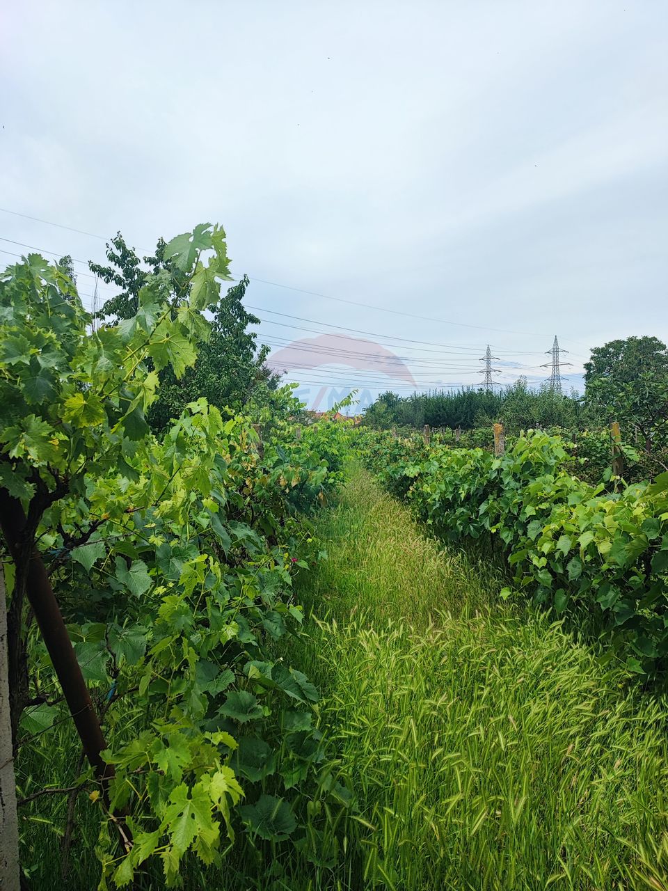 Teren Intravilan, Salca/Nufărul, Strada Apateului, De Vânzare