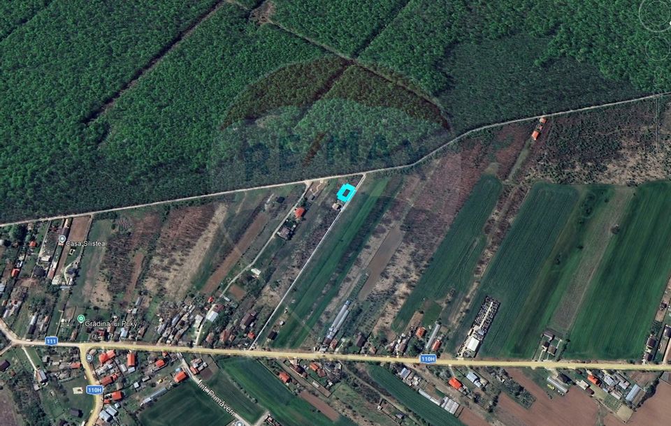 Teren intravilan, 450mp, Gruiu/Ilfov