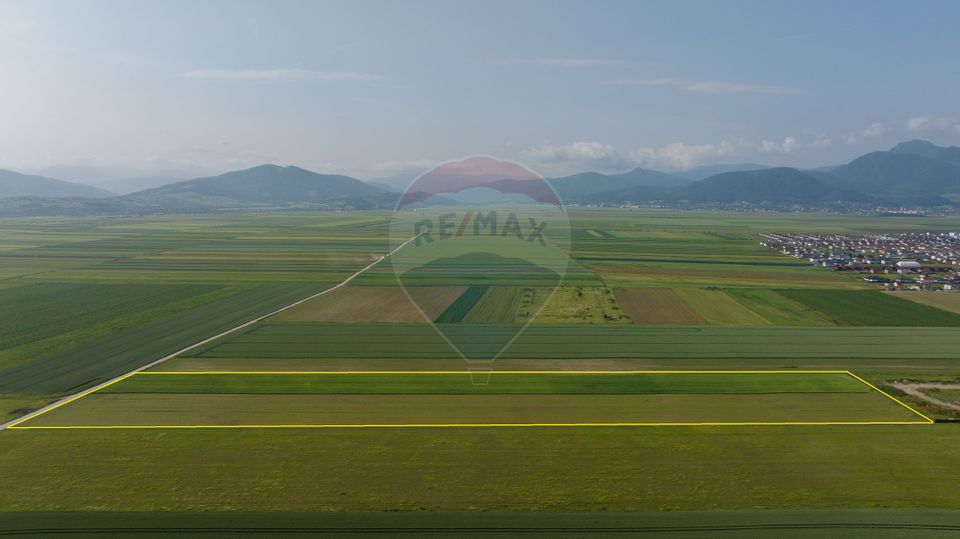 Teren 42,000mp Tarlungeni / Strada Izvor