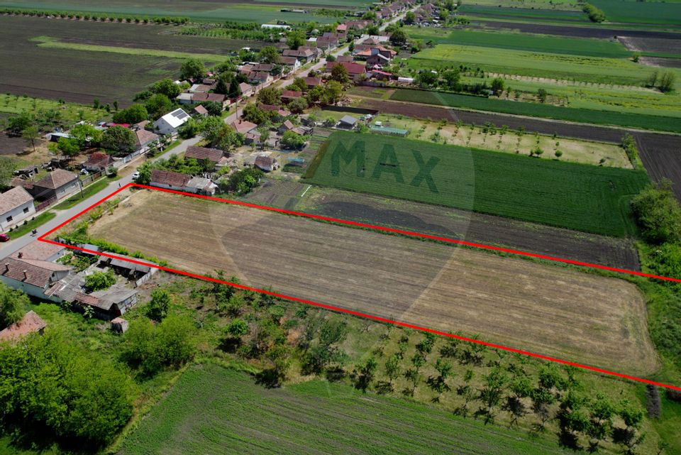 Teren intravilan 5,018mp Variasu Mare - 15 km de Arad/ str. Principală