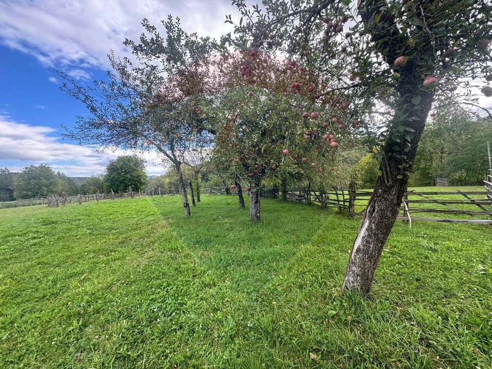 O oportunitate unică în inima naturii — 6.605 mp în Cândești