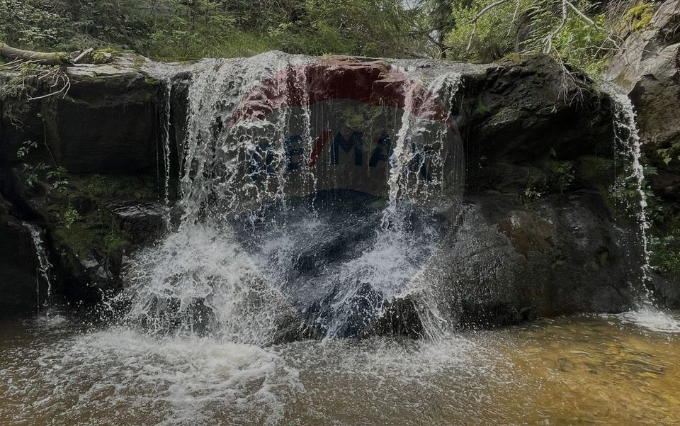 Teren extravilan parcelabil Călățele Pădure, zona Dealu Negru