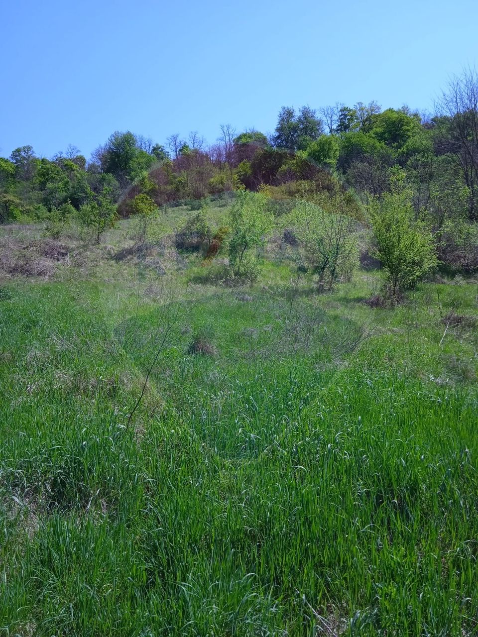 Land 800sqm Medias / Strada Baznei