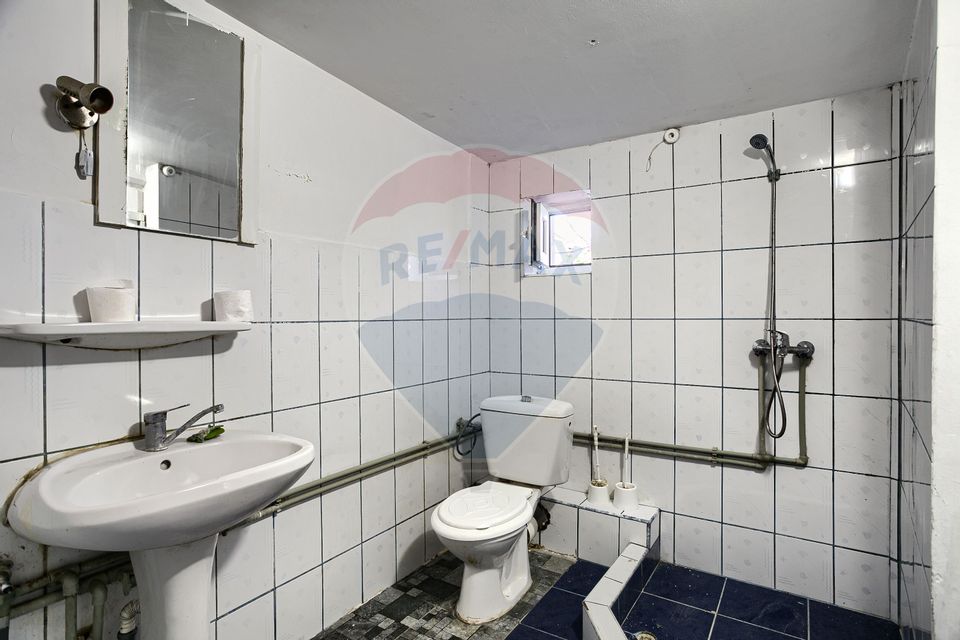 6 room House / Villa for rent, Aurel Vlaicu area