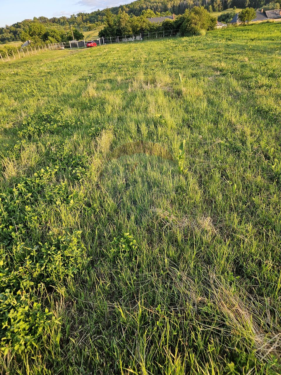 Land 1,495sqm Dobreni / Strada Parau Almas