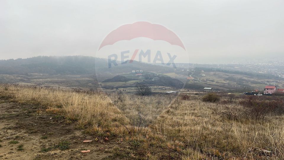 Land 623sqm Padureni (Chinteni) / Strada Principala