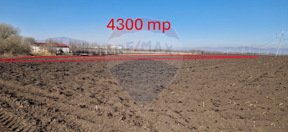 Teren de vanzare 4,300mp Sanpetru / Strada George cosbuc