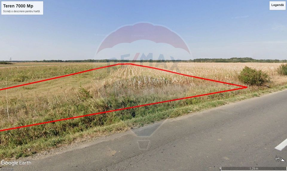 Teren intravilan constructii Stoenesti (Floresti-Stoenesti) / None