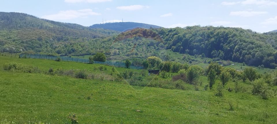 Land 2,000sqm Zalau / Strada Veronica de Salaj