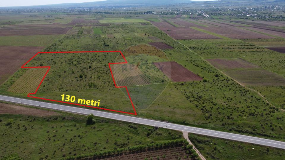 Land 33,000sqm Bolotesti / DJ DN2D