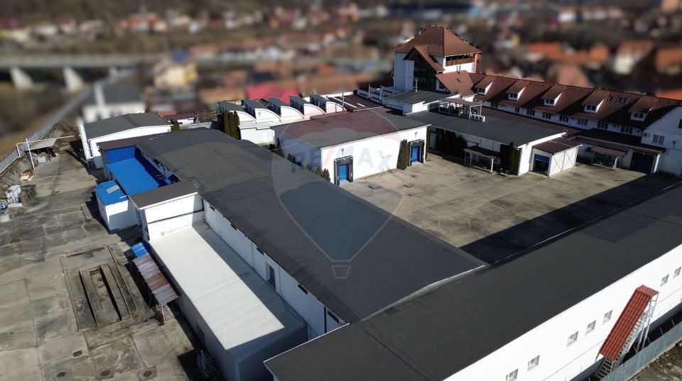 Fabrica de preparate si conserve din carne  la Medias