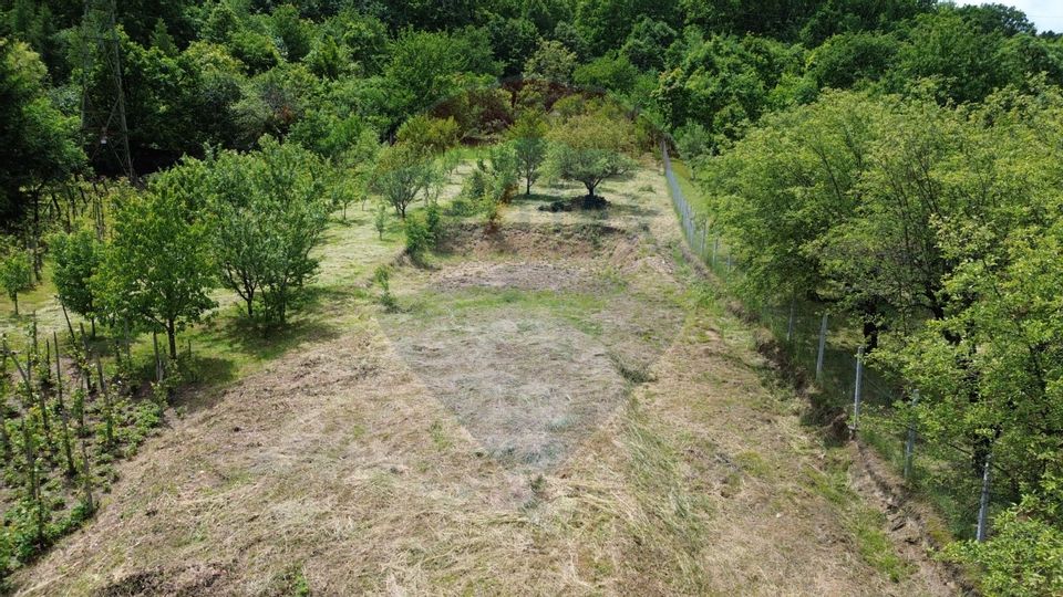 Land 1,650sqm Baia Mare / Strada Valea Borcutului