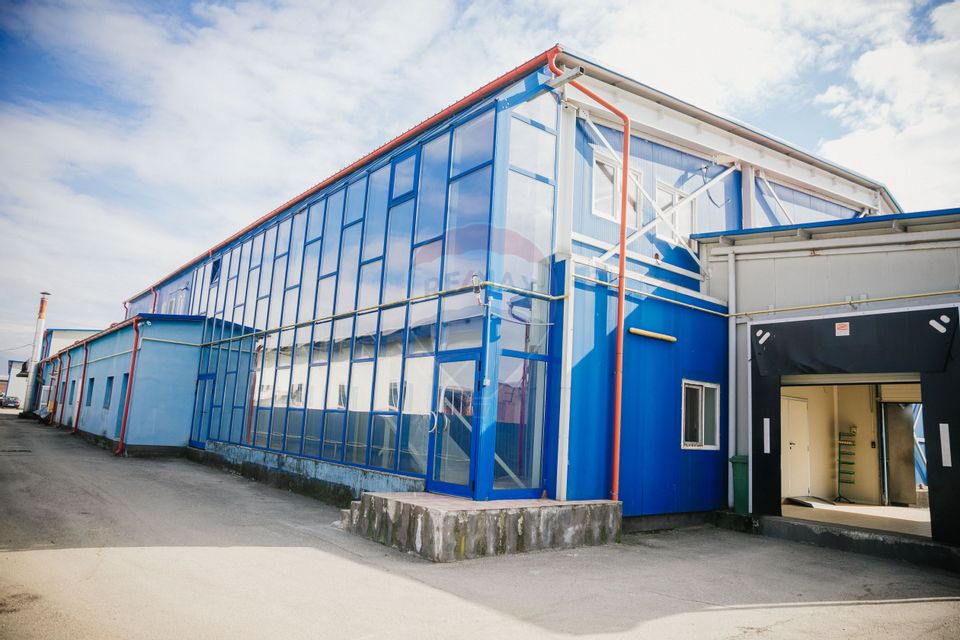 De vânzare AFACERE la cheie--CARMANGERIE--ABATOR--PREPARARE MEZELURI