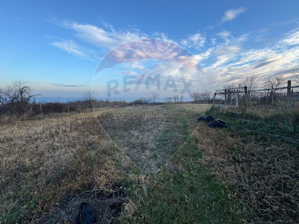 Land 2,636sqm Padureni (Jaristea) / Strada principala