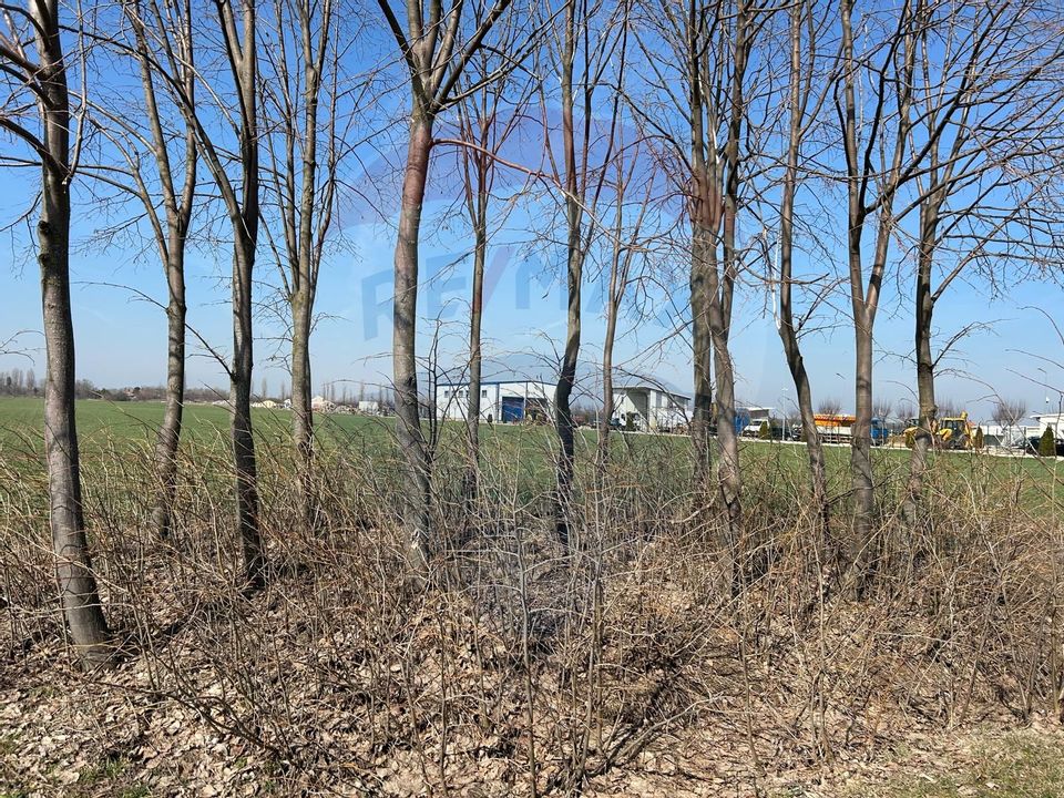 De Vanzare Teren 12,900mp Moara Vlasiei / Drumul Teilor