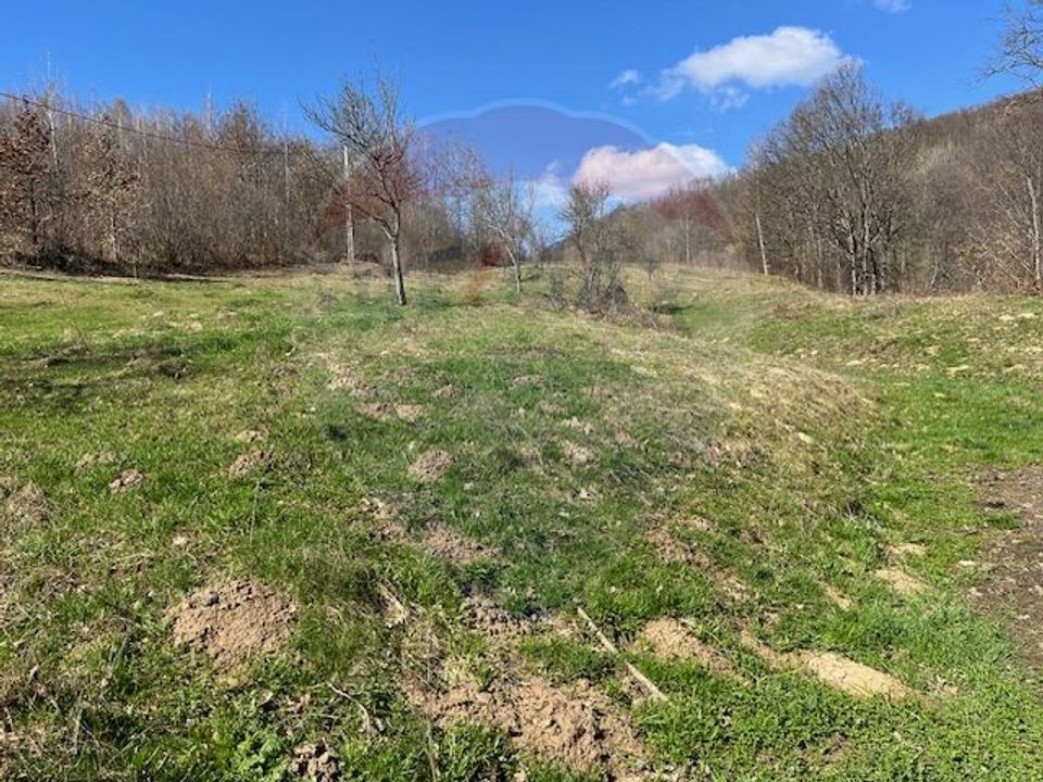 Land 7,495sqm Barsana / None