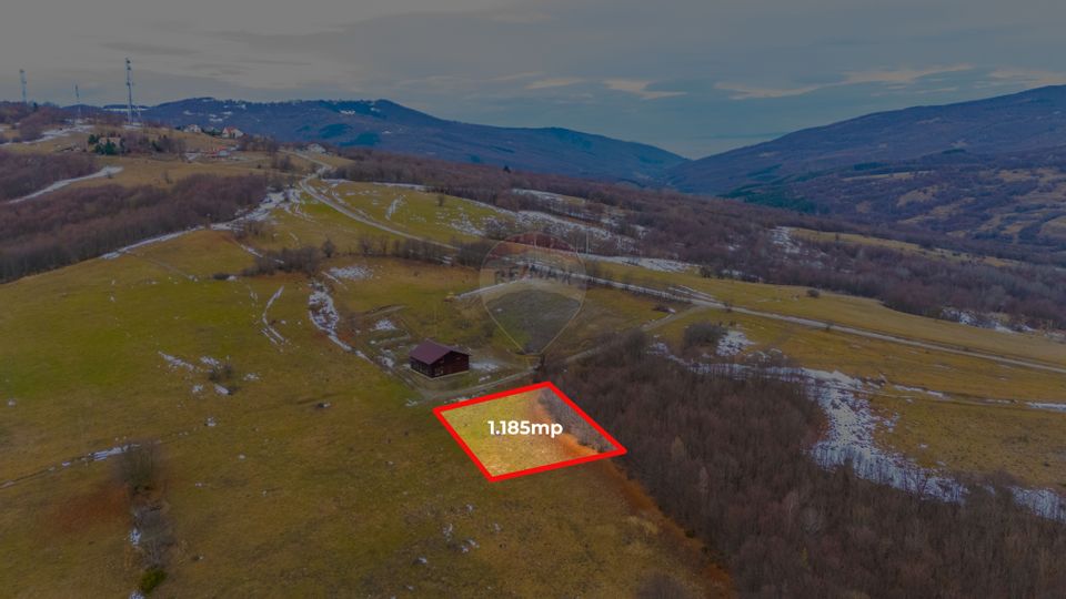 Teren 1,185 mp Teliu / Extravilan